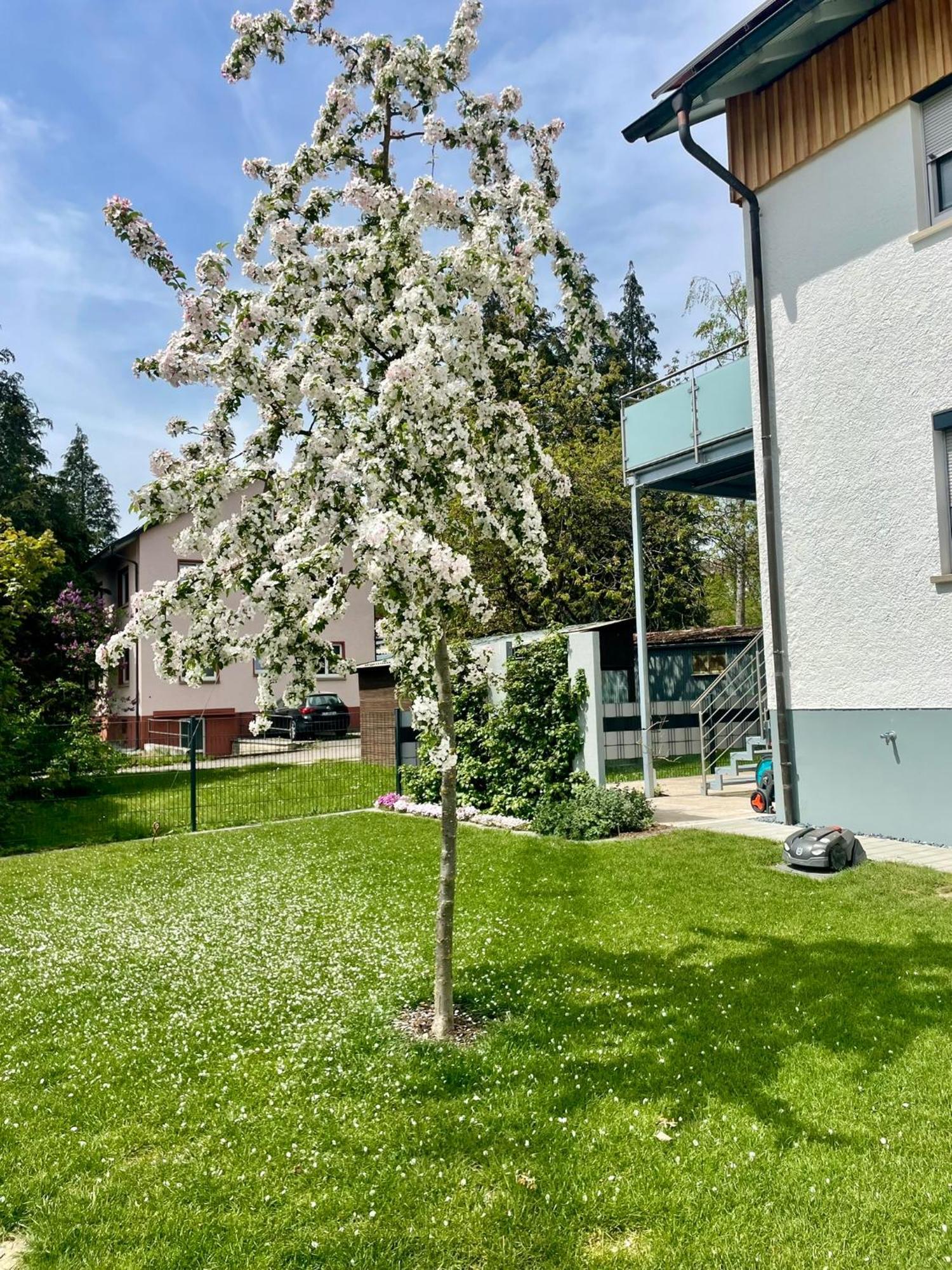 Anitas Ferienwohnung メスキルヒ エクステリア 写真